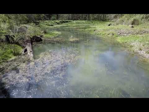 Imagefilm «Naturparadies Randen»