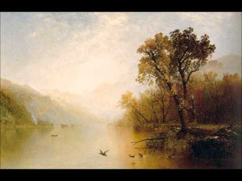 Johann Baptist Vaňhal - Symphony in G minor