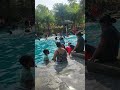 Shape Of You Swimming Pool Playing Enjoy Love Status