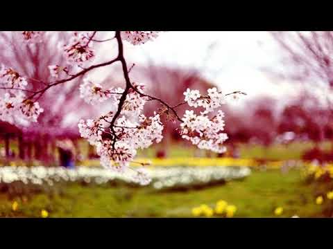 09 Pe oceanul iubiri # Familia Mandici # Am stat la sfat cu Domnul