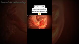 Download lagu proses perkembangan bayi dari 0-9 bulan mp3 Download lagu proses perkembangan bayi dari 0-9 bulan mp3