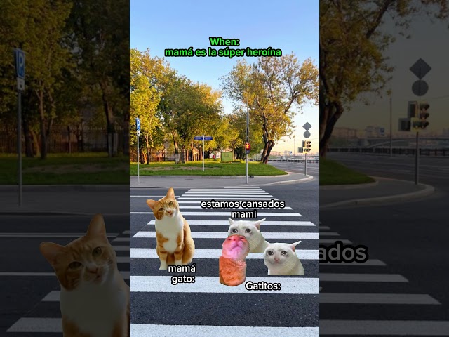 Vídeo relacionado con Funny Cat Lady Mommy Cat Lovers, Retro, la Mejor mamá de Gatos de la Historia Camiseta