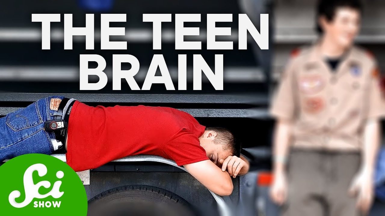 The Thriving Adolescent Brain