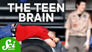 The Teenage Brain Explained