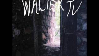 Walter TV - Walter's Kaya