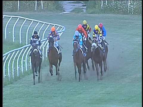 Galoppo 26/07/2017 - 5ª corsa