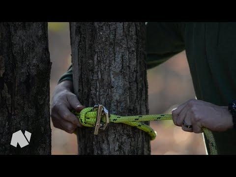 YouTube Thumbnail hie_33LjgTg