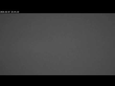 De Gavers Cam live webcam