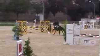 preview picture of video 'lauralee et nemo cluny poney elite c le 29 09 2013'