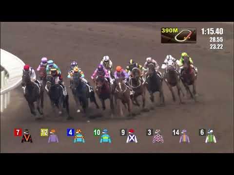 16/4/2022 (592) Blotting Paper - Z Purton