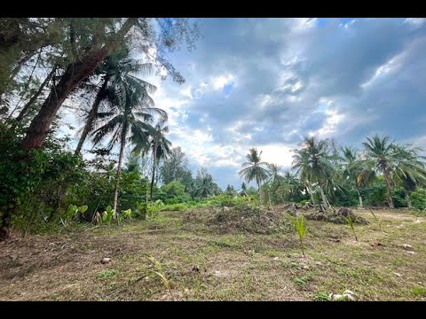 Five Rai of Private Land for Sale in Takua Pa, Phang Nga