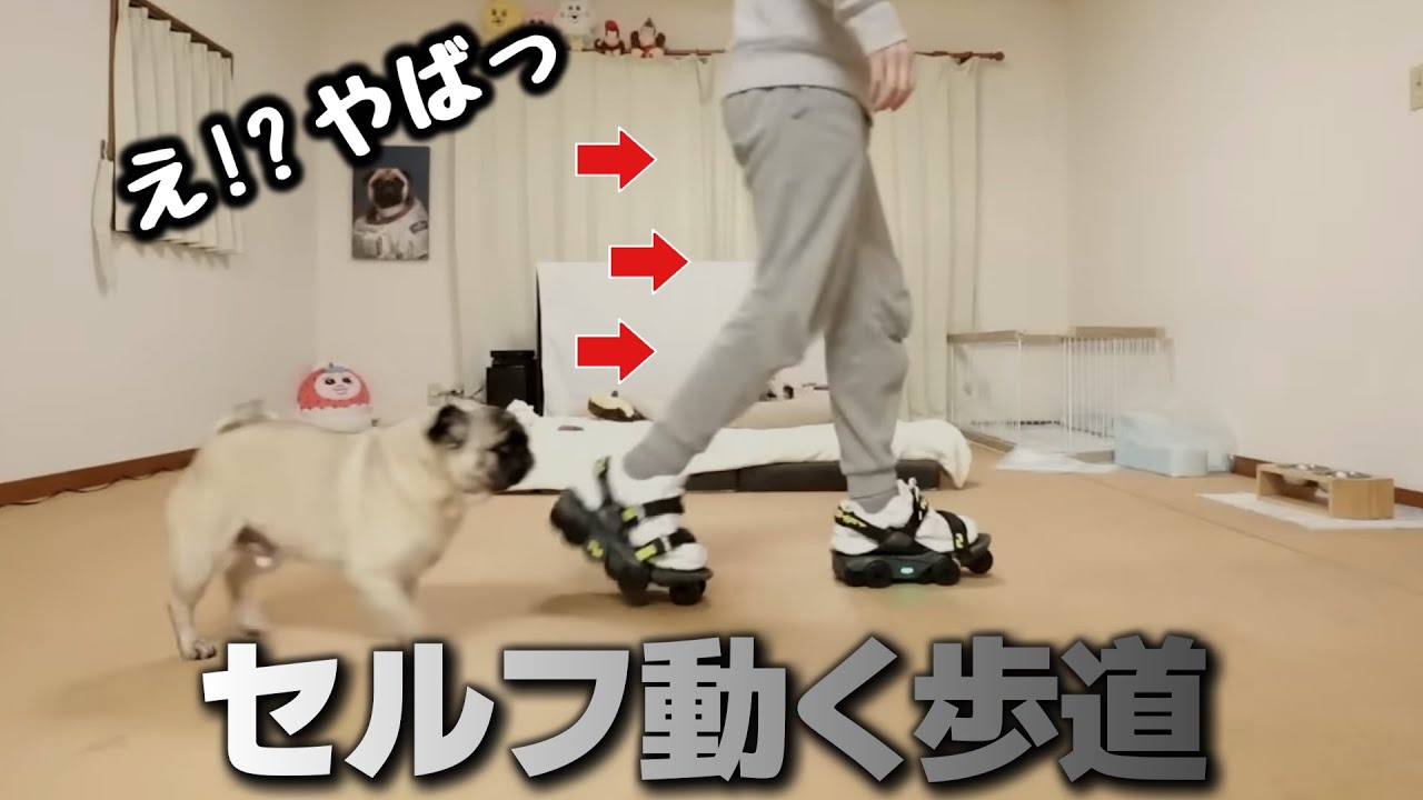 ３倍の速さで歩けるＡＩ搭載シューズ履いてみた (※20万円の靴)