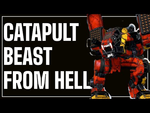 MWO - Suppressive Fire Support!!! Catapult C2 Rotary Build!