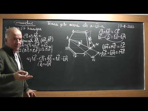 1/3 Lectia 1645 Clasa 9 Operatii cu vectori Vectori Echipolenti Vectori Egali Probleme de geometrie