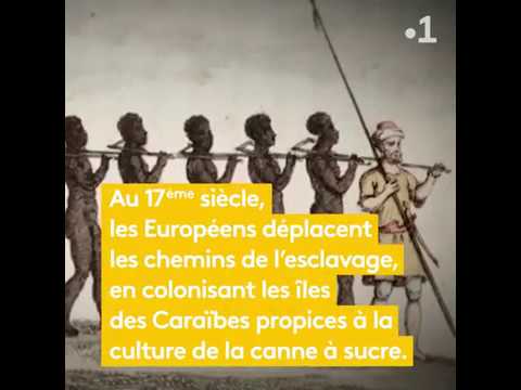 Les routes de l'esclavage : épisodes 3 et 4