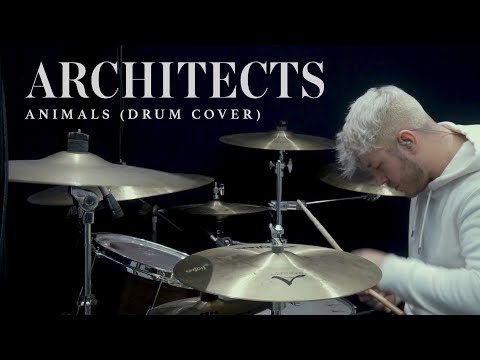 Architects - Animals | Terrance Pettitt Drum Cover