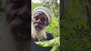 Download lagu 😲77yo Rastafarian reveals SECRET to his perfect HEALTH🍈 [FULL VIDEO in description] (#Noni) mp3