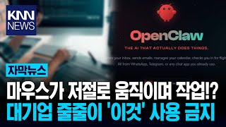 네이버·카카오 긴급 공지 발칵 "회사서 '이것' 쓰지 마!" 뭐길래?/ KNN