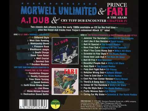 The Revolutionaries & Roots Radics - In Fine Style [2022]