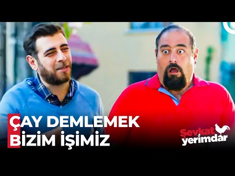 Olsen ve Selami'nin Çay Demleme Düellosu - Şevkat Yerimdar