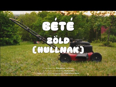 BÉTÉ - Zöld (Hullnak)