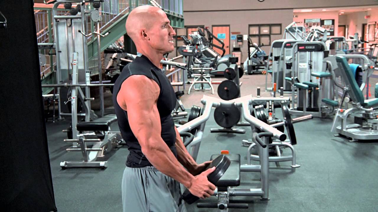 Front Deltoid Plate Raise