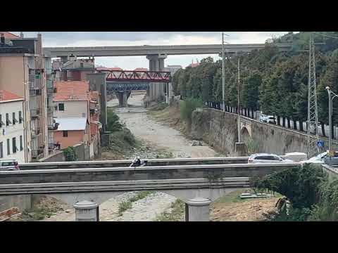 Savona, erba alta nel Letimbro a Lavagnola: il racconto di un cittadino