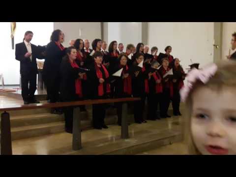 Ko košuta što čezne