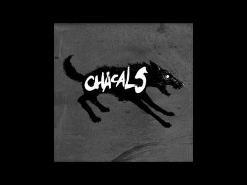 Chacals A L'Ombre Du Mur