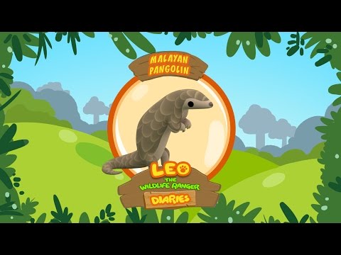 Witness21  2019 02 18