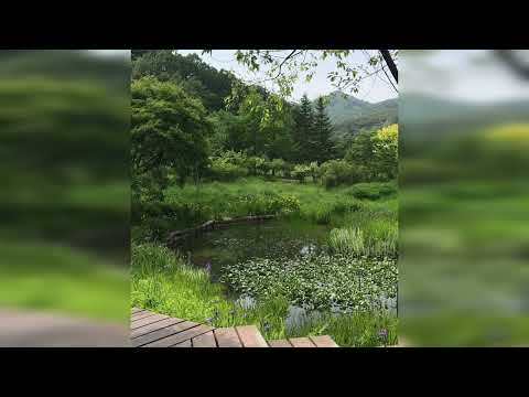 [FREE] ROCKET x FRESCO type beat