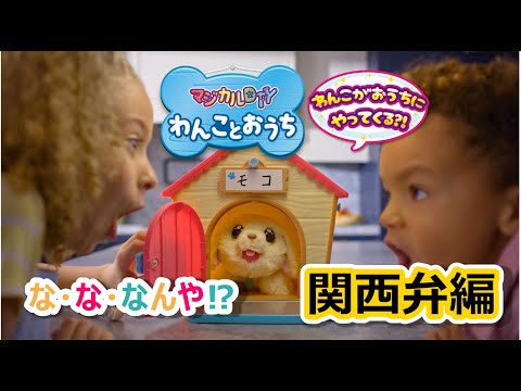 マジカルDIY わんことおうち　なんや！わんこがやってきたで！　CM 関西弁編