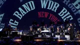 Swing+, Solidarity of Arts festival 2015