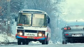 MEJOR PELÍCULA 2024 ! PELICULAS DE ACCION | INTERESES COMPARTIDOS | Completas En Español