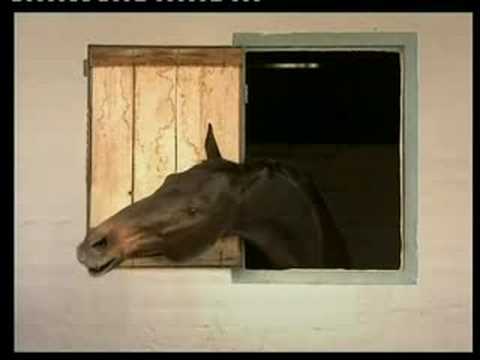 Vodacom Durban July Advert