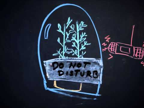 Chalking Points - Affect Versus Effect