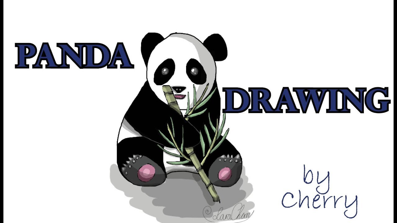 Panda digital drawing 🐼 Comicart by Cherry