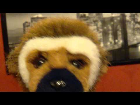 HEMLIGA PROJEKTET ledtråd #1