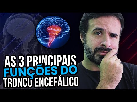 THE 3 MAIN FUNCTIONS OF THE BRAINSTEM