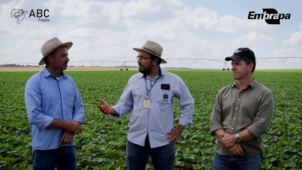 Projeto 6 Toneladas - ABC Feijão e Embrapa