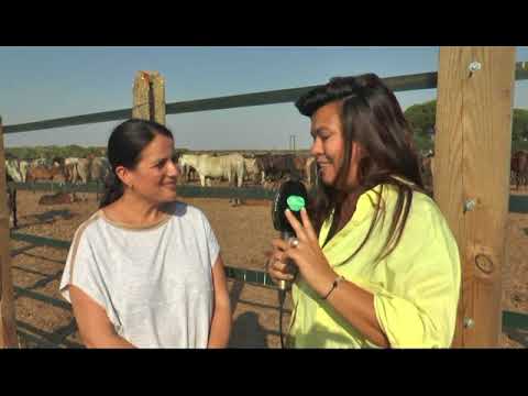 SACA DE LAS YEGUAS 2018 NOCHE MARISMA