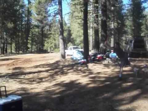 Have Axe Will Travel...