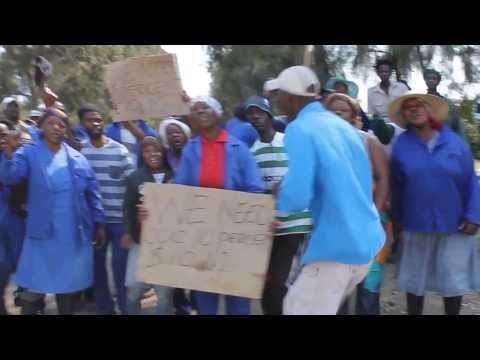 Striking Golden Frontier Citrus workers