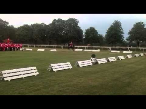 EM DRIVING MILAK 2012 - Showprogramm Andrea Pulsinger