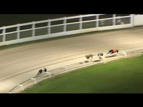 2017 SERVOCA BRITISH BRED DERBY - HEAT 2 - T3 KING TURBO