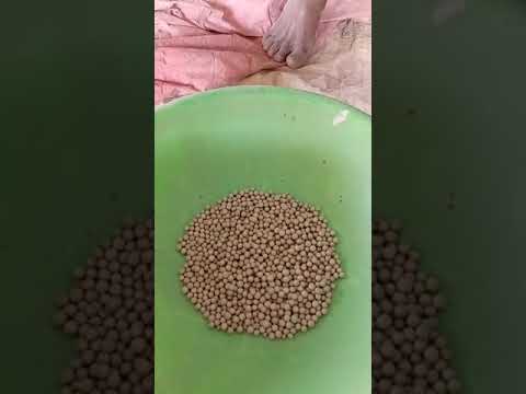 D-zeopro in zeolite for aqua health