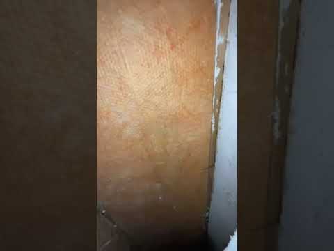 Chimney Sweep & Fireplace Safety