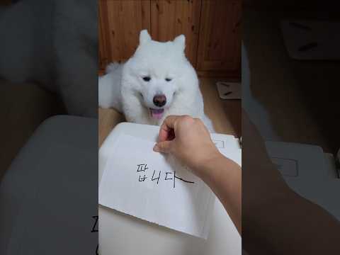 더이상 안되겠네요.. 결국 팝니다