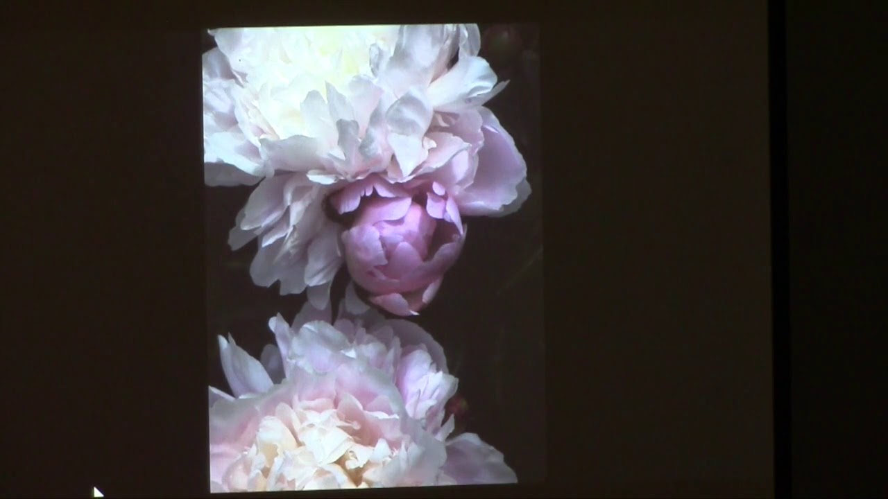 Mark Lennon Artist Talk