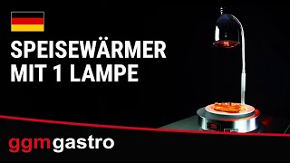 Plaque chauffante en inox avec lampe chauffante infrarouge - 650 watts